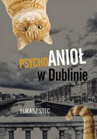 Psychoanioł w Dublinie - Łukasz Stec