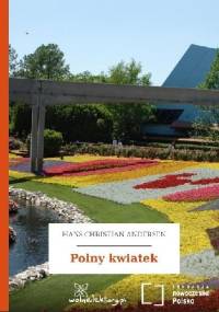 Polny kwiatek - Hans Christian Andersen