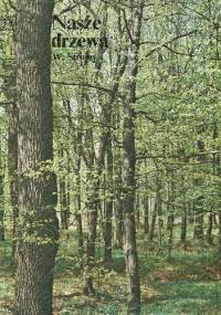 Nasze drzewa - Władysław Strojny