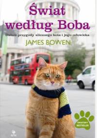 Świat według Boba. Dalsze przygody ulicznego kota i jego człowieka - James Bowen