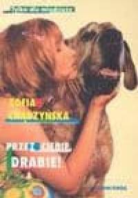 Przez ciebie, Drabie! - Zofia Chądzyńska