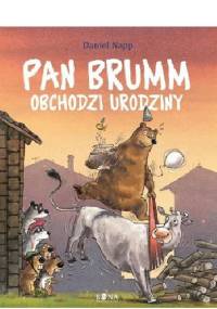 Pan Brumm obchodzi urodziny - Daniel Napp