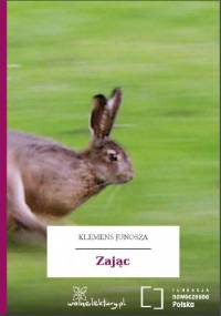 Zając - Klemens Junosza