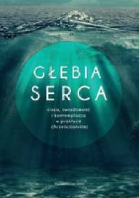 Głębia serca: Cisza, świadomość i kontemplacja w praktyce chrześcijańskiej - Martin Laird OSA