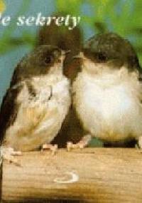 Małe sekrety - praca zbiorowa