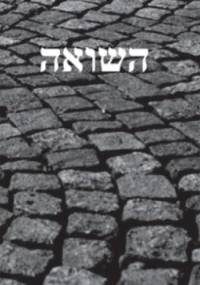 Pamięć Shoah. Kulturowe reprezentacje i praktyki upamiętniania