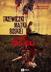 Trzewiczki Matki Boskiej - Joanna Sokolińska