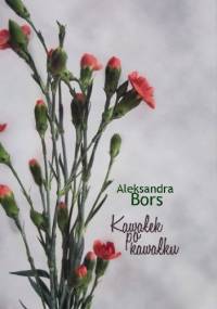 Kawałek po kawałku - Aleksandra Bors
