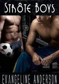 Str8te Boys - Evangeline Anderson