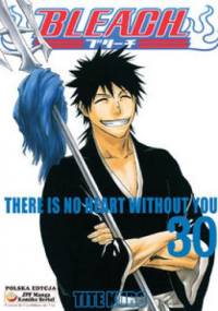 Bleach 30. There is no heart without you - Tite Kubo