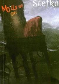 Możliwe sny - Jolanta Stefko