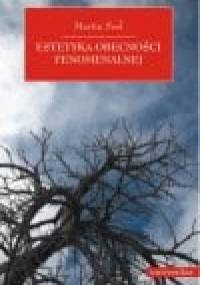Estetyka obecności fenomenalnej - Martin Seel