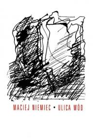 Ulica wód - Maciej Niemiec