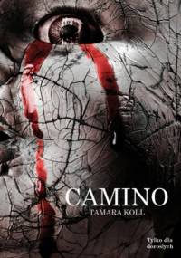 Camino - Tamara Koll