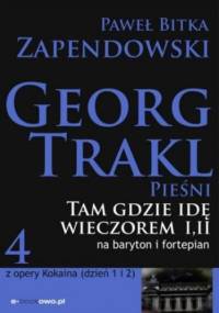 Tam gdzie idę wieczorem - Zapendowski Paweł