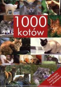 1000 kotów
