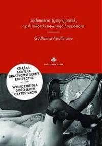 Jedenaście tysięcy pałek, czyli miłostki pewnego hospodara - Guillaume Apollinaire