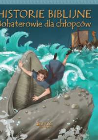 Historie biblijne. Bohaterowie dla chłopców - Peter Martin