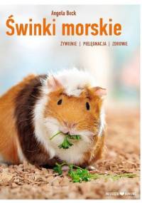 Świnki morskie - Angela Beck
