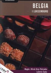 Belgia i Luksemburg. Praktyczny Przewodnik