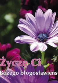 Życzę Ci Bożego błogosławieństwa. Perełka 215 - praca zbiorowa