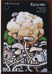 Egzamin - Julio Cortázar