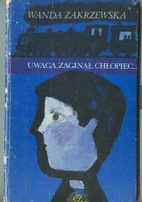 Uwaga, zaginął chłopiec... - Wanda Zakrzewska