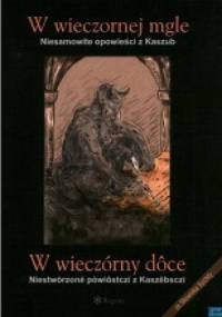 W wieczornej mgle. Niesamowite opowieści z Kaszub - Grzegorz J. Schramke