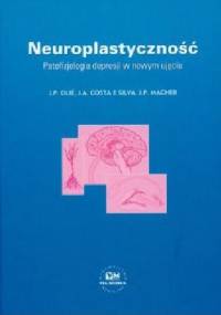Neuroplastyczność. Patofizjologia depresji w nowym ujęciu