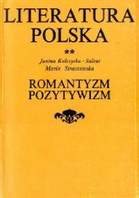 Literatura Polska. Romantyzm. Pozytywizm - Janina Kulczycka-Saloni, Maria Straszewska
