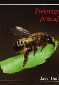 Zwierzęta pracują - Jane Burton