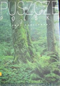 Puszcze Polski - Paweł Fabijański