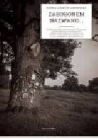 Zabobonem nazwano. O wierzeniach, wartościach i dawnych przekonaniach mieszkańców polsko-białoruskiego pogranicza w ich związkach z przeszłością - Bożena Józefów-Czerwińska