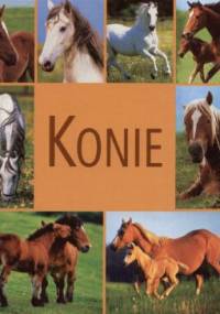 Konie - Mariola Jezierska