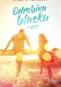Odrobina blasku - Shari L. Tapscott