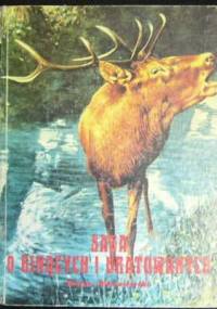 Saga o ginących i uratowanych - Stefan Maciejewski