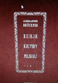 Dzieje kultury polskiej t.1 - Aleksander Brückner