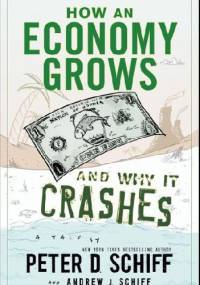How an economy grows and why it crashes - Peter Schiff