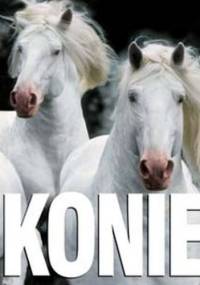 Konie - praca zbiorowa