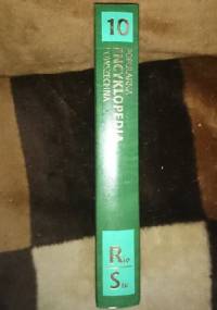 Popularna encyklopedia powszechna T.10. Rio/Stu