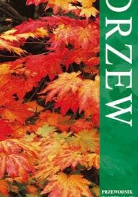 Kieszonkowy atlas drzew - Allen J. Coombes