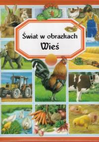Świat w obrazkach. Wieś - Émilie Beaumont