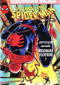 The Amazing Spider-Man 6/1991