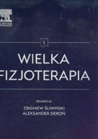 Wielka fizjoterapia Tom 1 - Aleksander Sieroń, Zbigniew Śliwiński