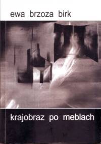 Krajobraz po meblach - Ewa Brzoza-Birk