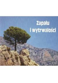 Zapału i wytrwałości - praca zbiorowa