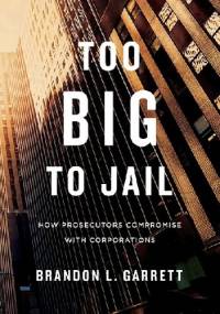Too Big to Jail - Brandon Garrett