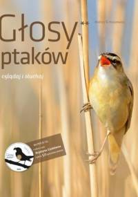 Głosy ptaków 2. Oglądaj i słuchaj + CD - Andrzej G. Kruszewicz