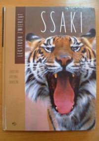 Ssaki. Zajęczaki, gryzonie, drapieżne