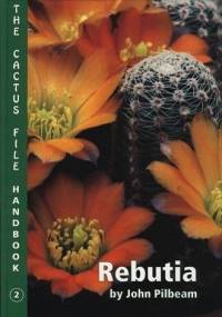 Rebutia by John Pilbeam - John Pilbeam
